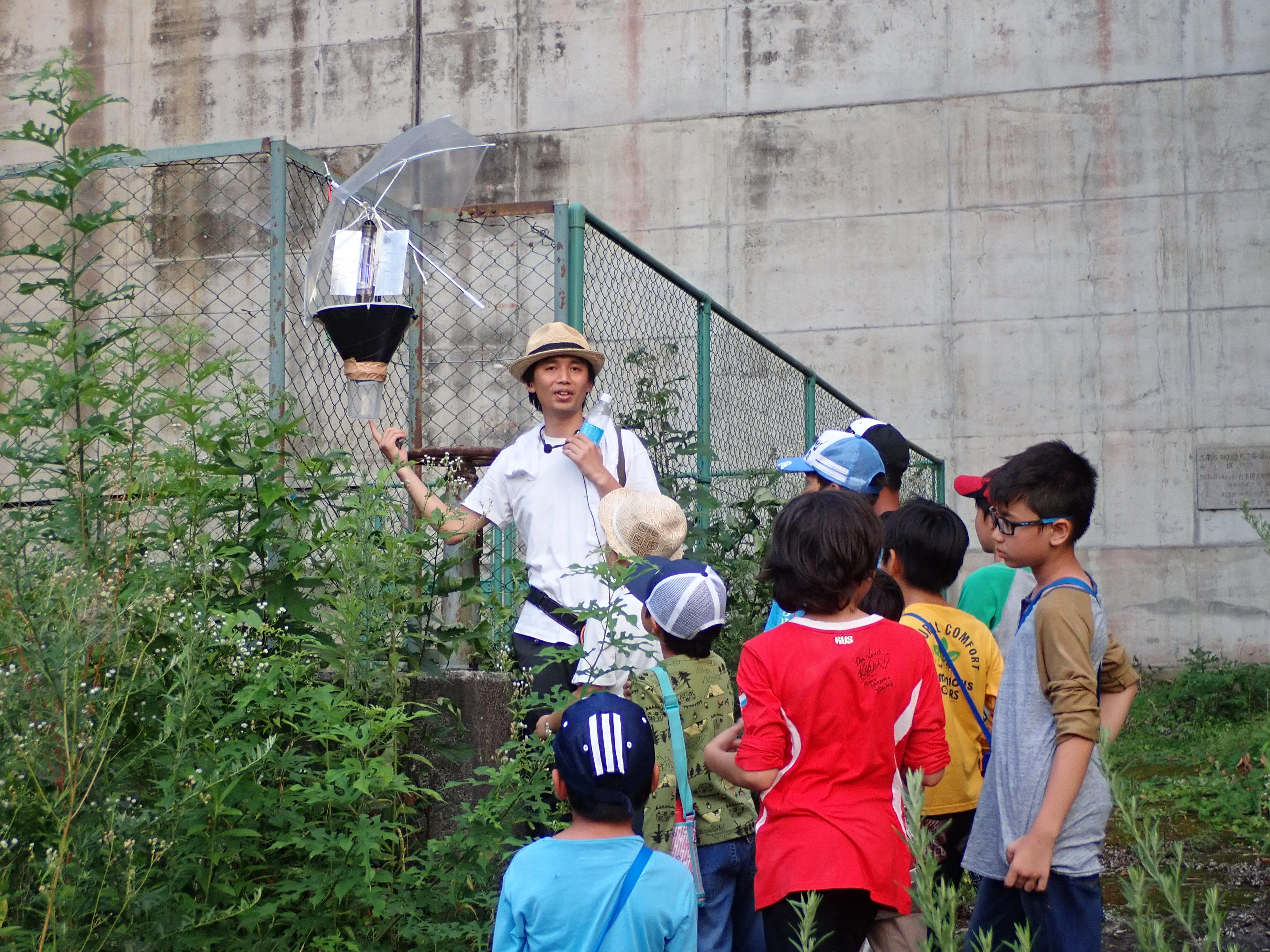 平成30年度 夜の生き物観察会 ライトトラップで昆虫観察 堺いきもの情報館 堺生物多様性センター