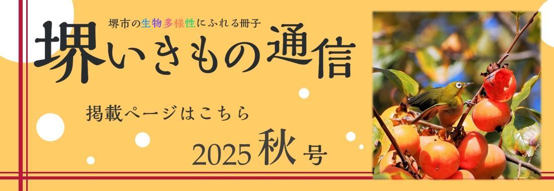 sakaiikimonotsushin7