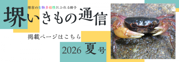 sakaiikimonotsushin8